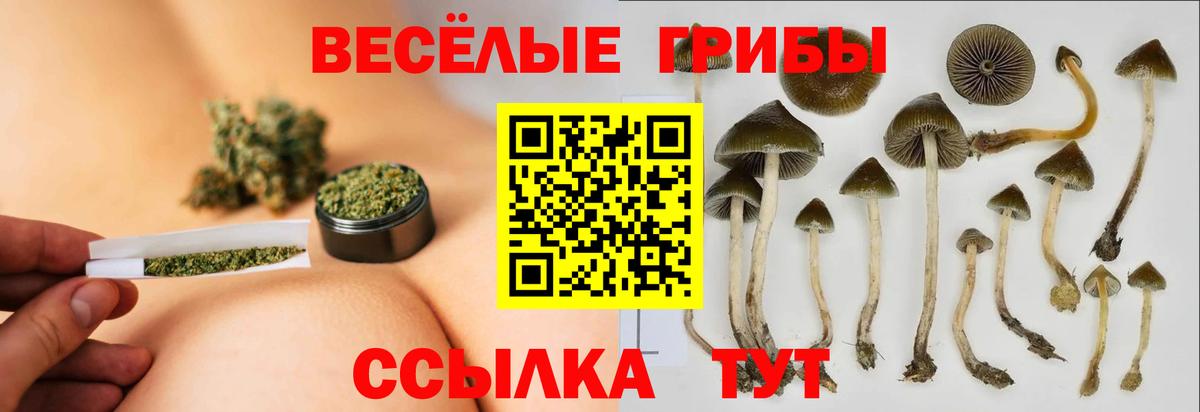 Псилоцибиновые грибы мухоморы  Вход с VPN  Галлюциногенные грибы Magic Shrooms  Мценск 